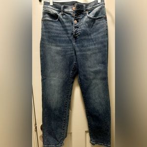 Express Skinny Ankle Mom Jeans